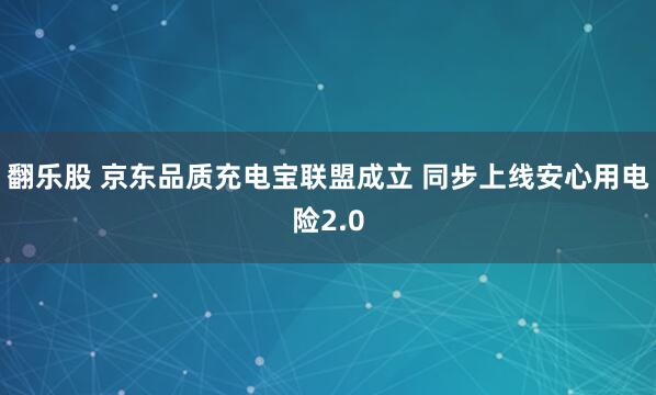 翻乐股 京东品质充电宝联盟成立 同步上线安心用电险2.0